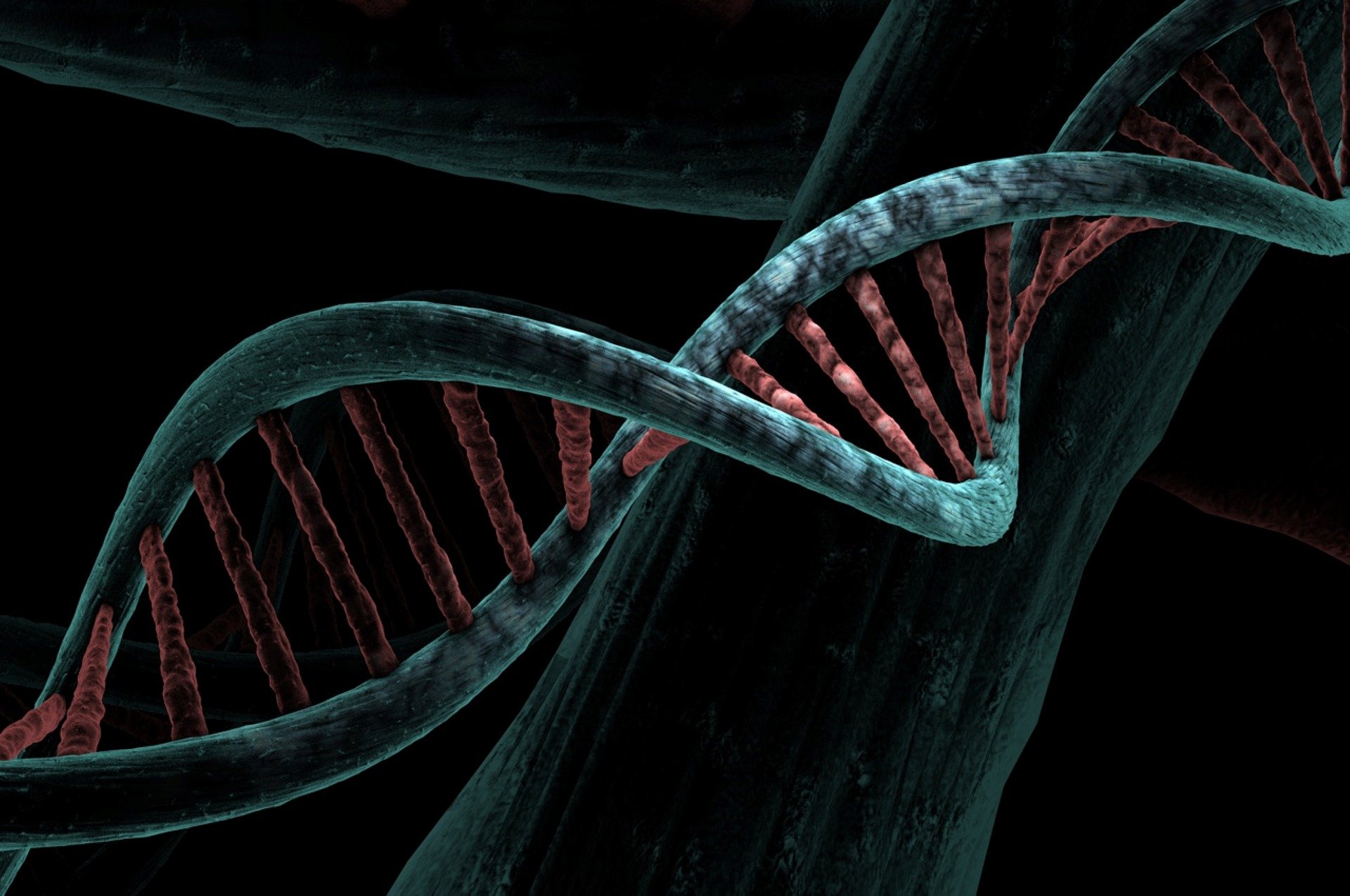DNA helix genomics